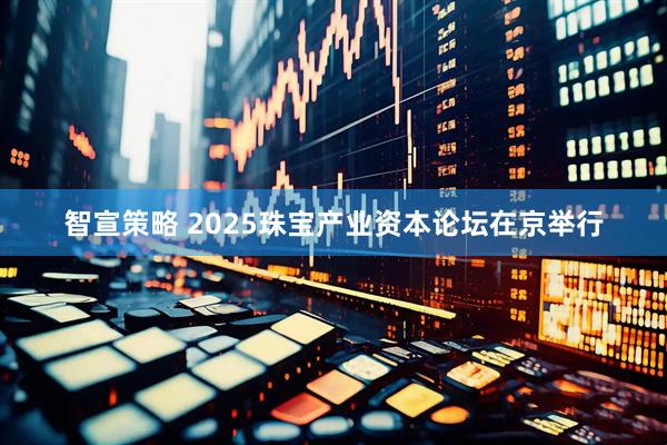 智宣策略 2025珠宝产业资本论坛在京举行