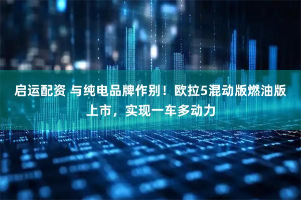 启运配资 与纯电品牌作别！欧拉5混动版燃油版上市，实现一车多动力